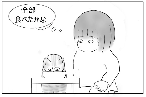 猫のごはん時