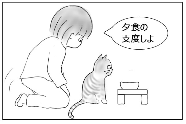 固まる猫