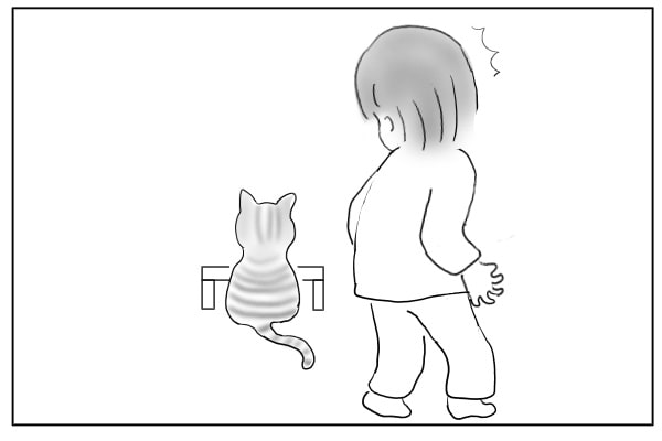 動かない猫