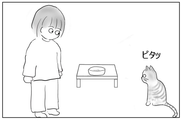 立ち止まった猫