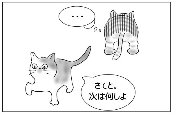 落ち込む猫