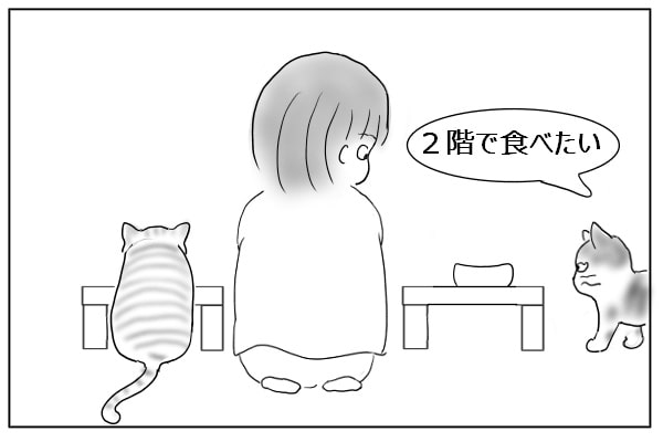 ためらう猫