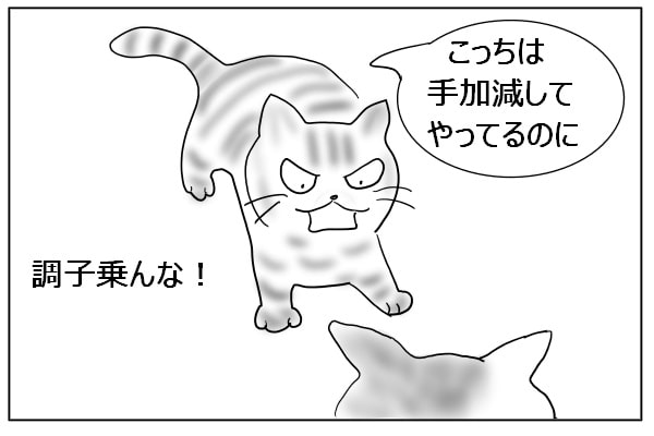 手加減する猫