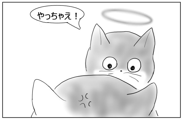 応援する猫