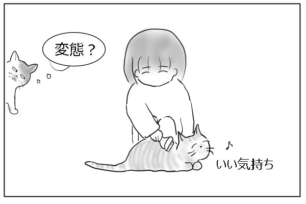 気持ちよさげな猫