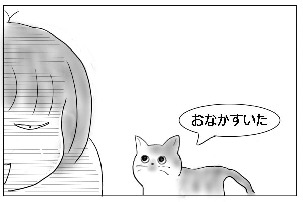 おなかの空いた猫