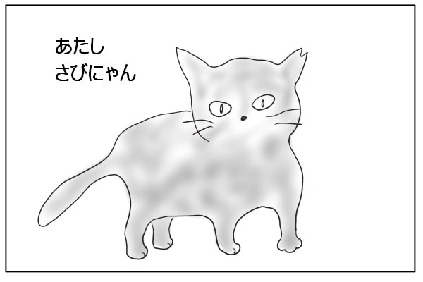 さび猫