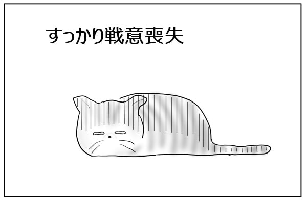 戦意喪失する猫