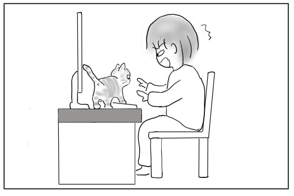 飛び乗った猫