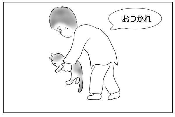 猫を下す