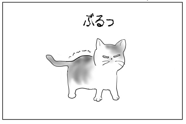 震える猫