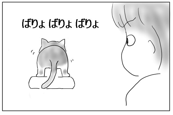 爪を研ぐ猫