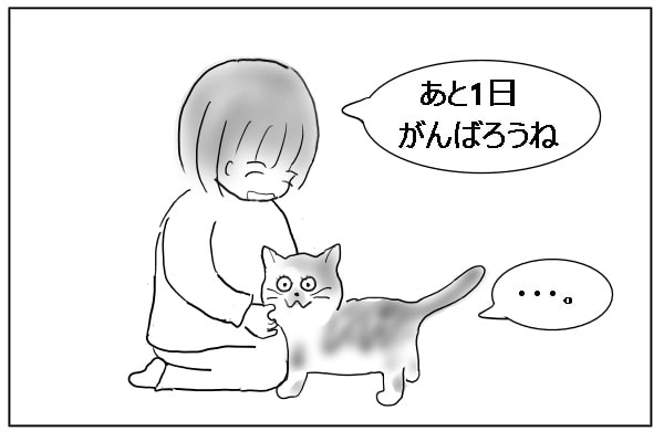 ギョッとする猫