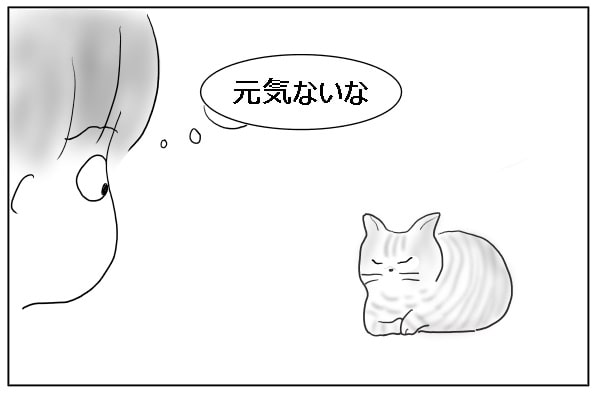 元気のない猫