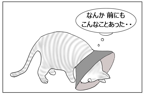 へこむ猫