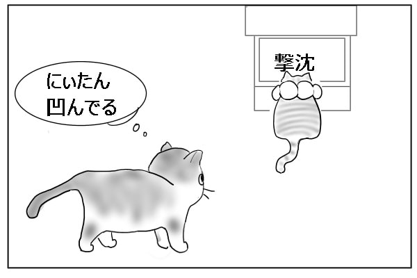 撃沈した猫