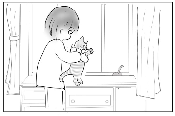 猫を抱き上げる