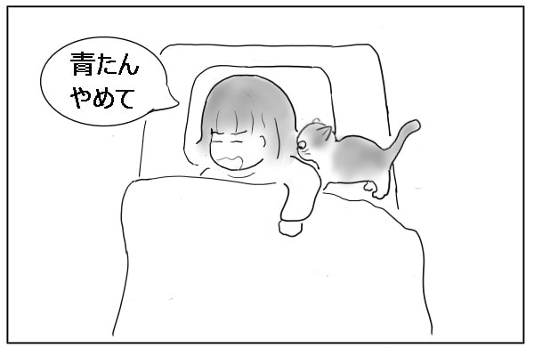 猫をたしなめる