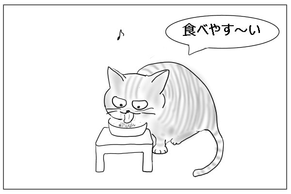 猫の食事