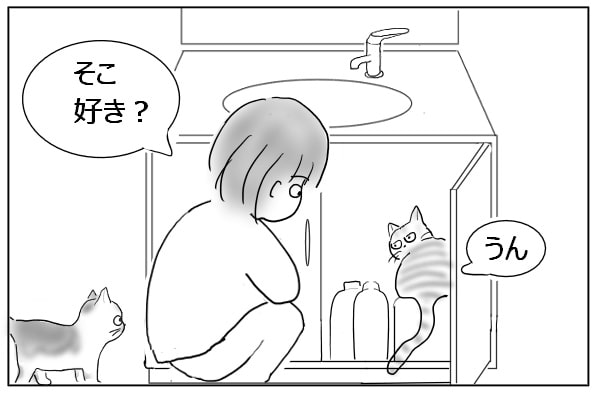 入り込んだ猫