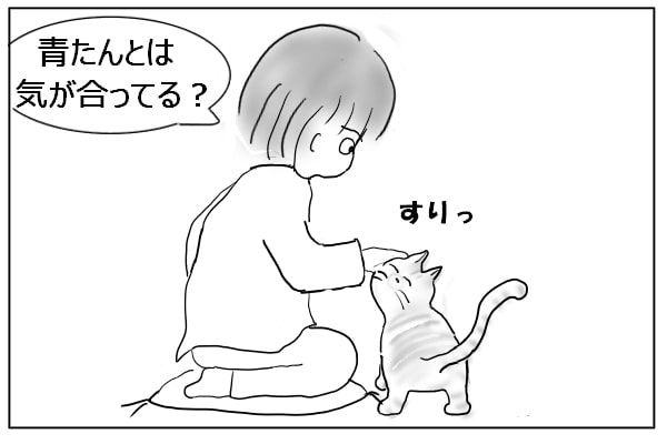 猫を撫でる人