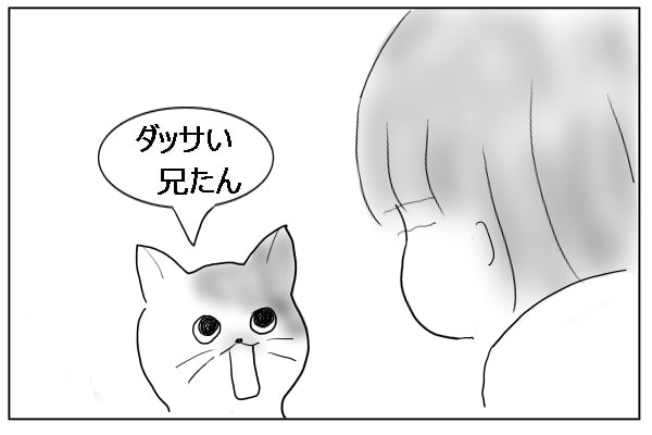 言い切る猫