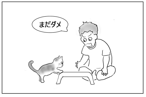 たしなめられる猫