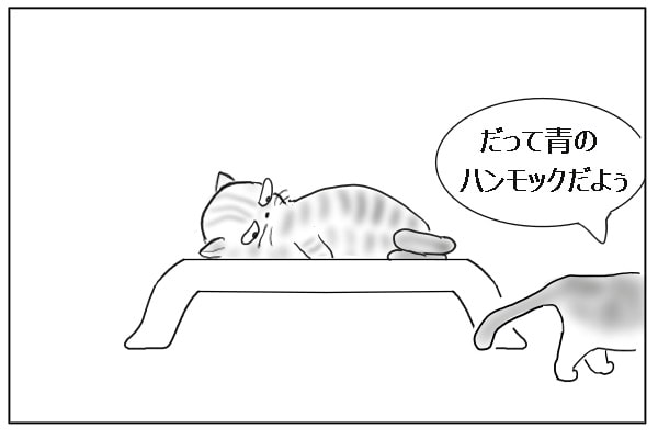 諦めた猫