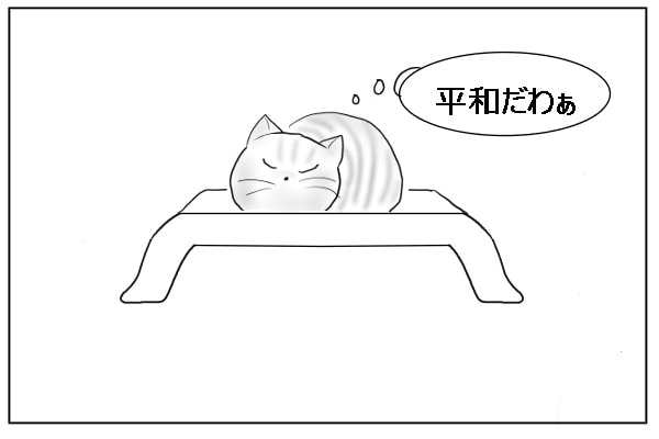 満足げな猫