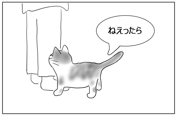 猫の催促