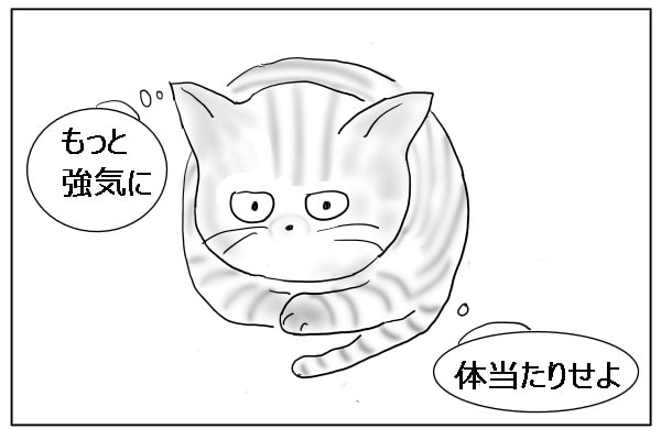 指令する猫