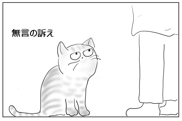 無言の訴え