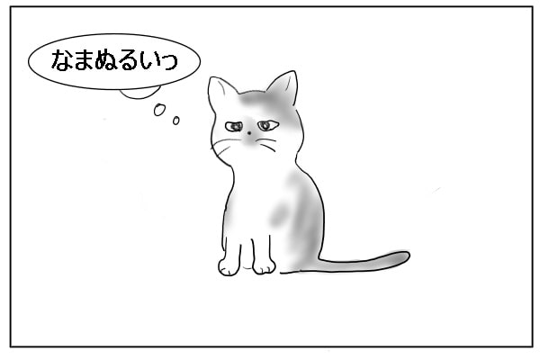 もやもやする猫