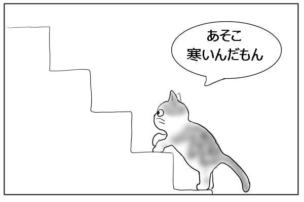 階段を上がる猫