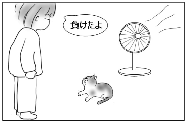 床で寝そべる猫