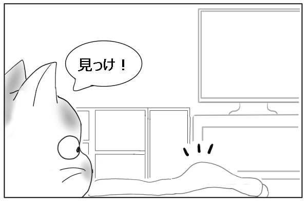 見つけた猫