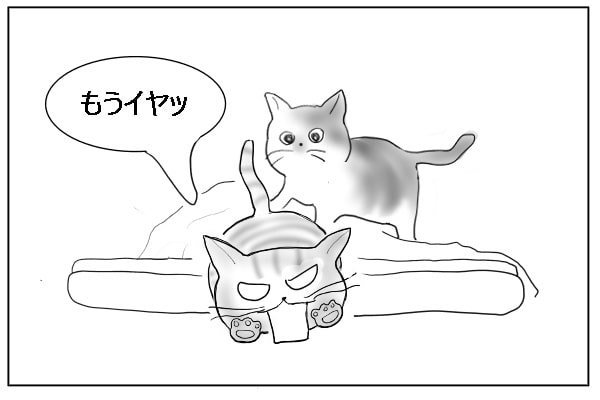 飛び出す猫