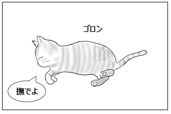 横になる猫