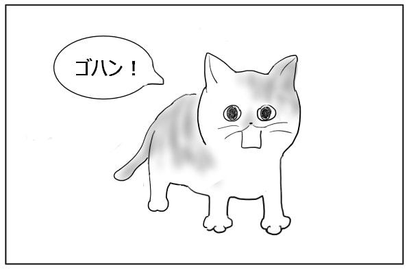 猫の命令