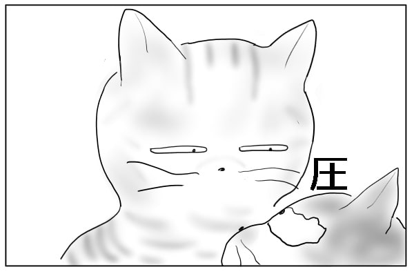 圧力をかける