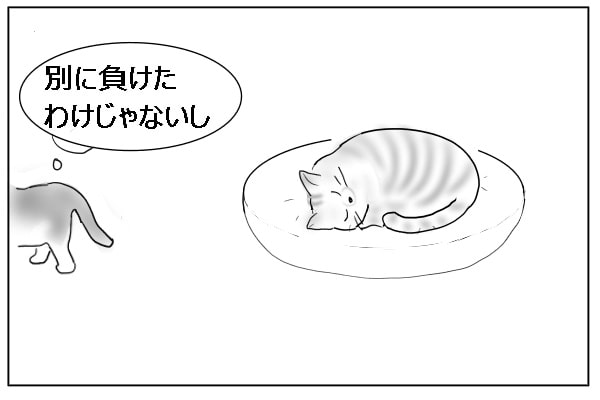 取り返した猫