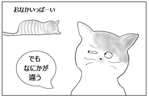 何かが違う