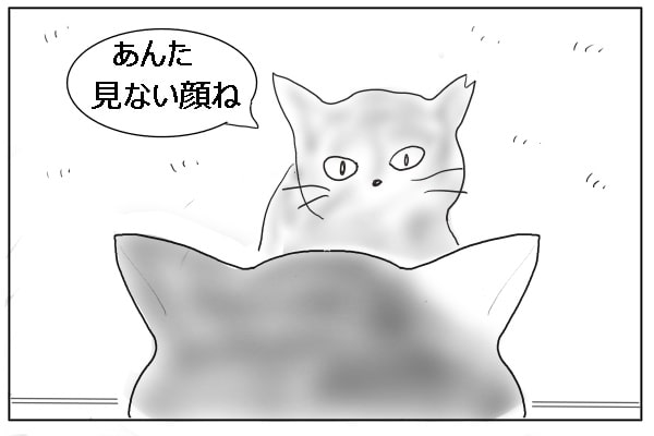 ガラス戸の向こう