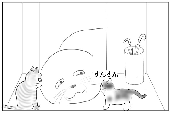 落ち着いている猫たち