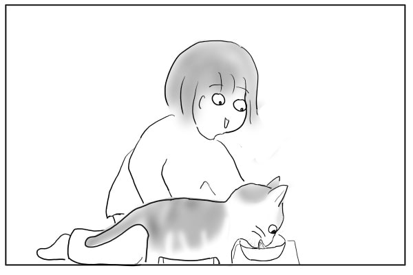 猫のごはん