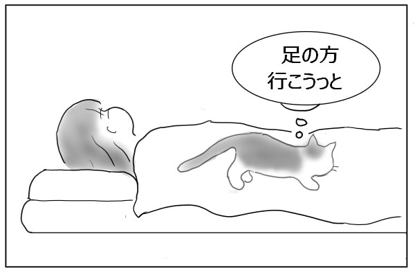 移動する