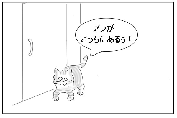 見つけた猫