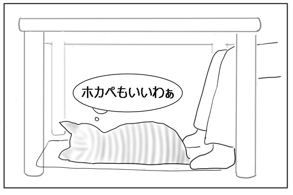 猫と人間共用