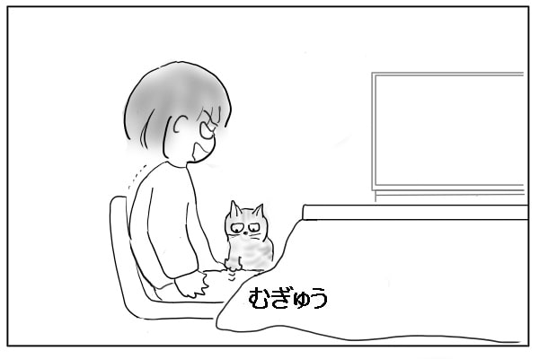 乗る猫