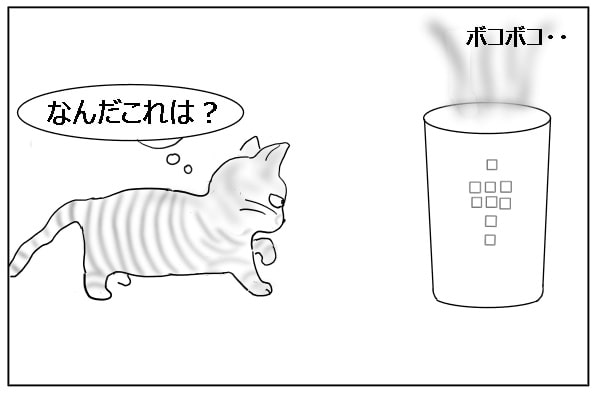 警戒する猫